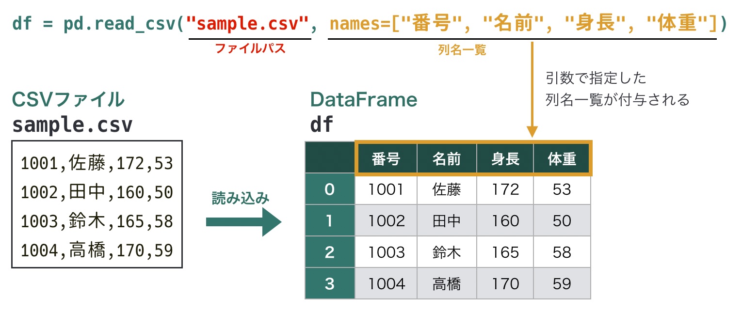 https://images.pyq.jp/repo/prod/pandas_io_read_csv/read_csv_names.jpg